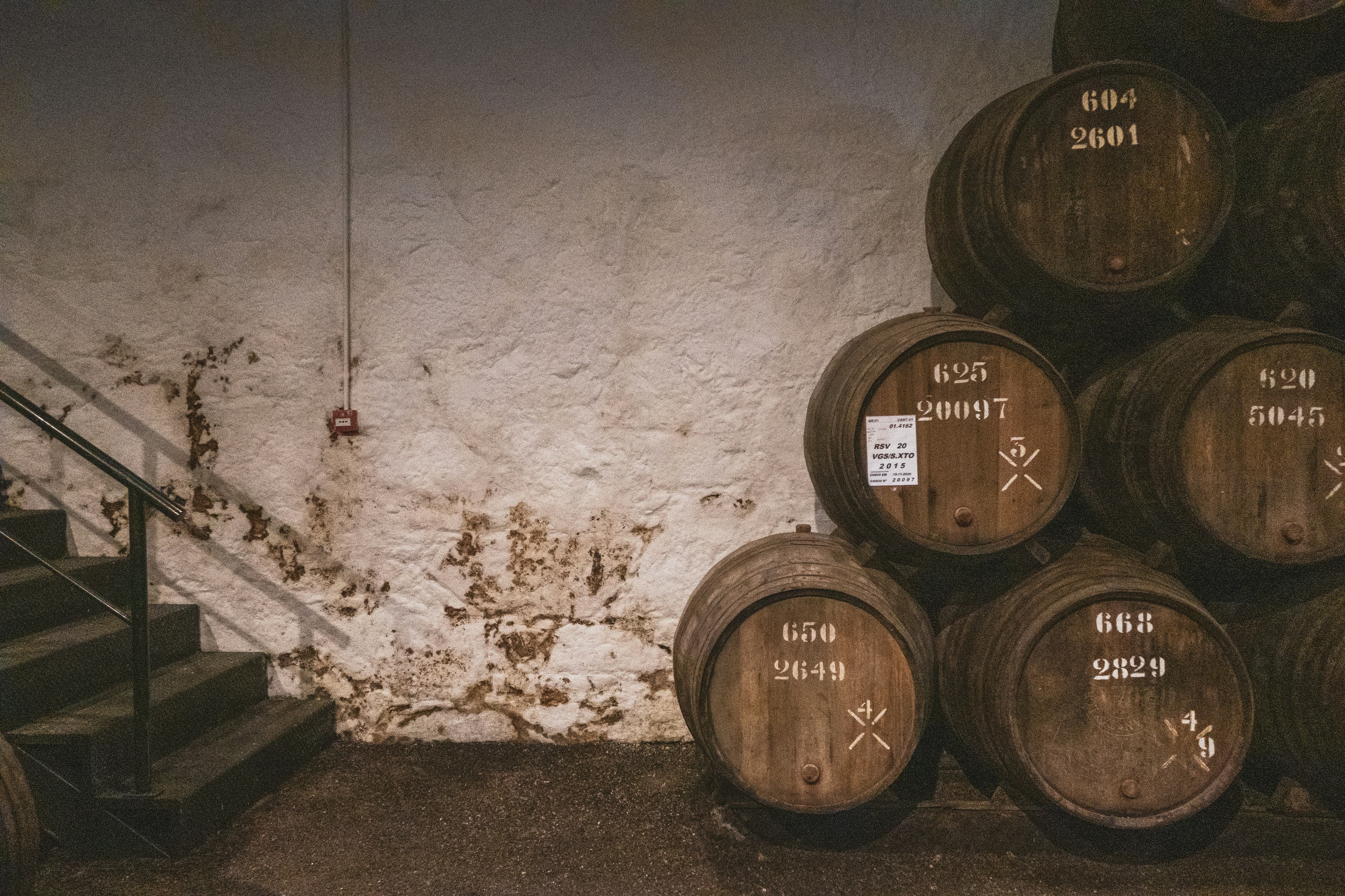 Cellar