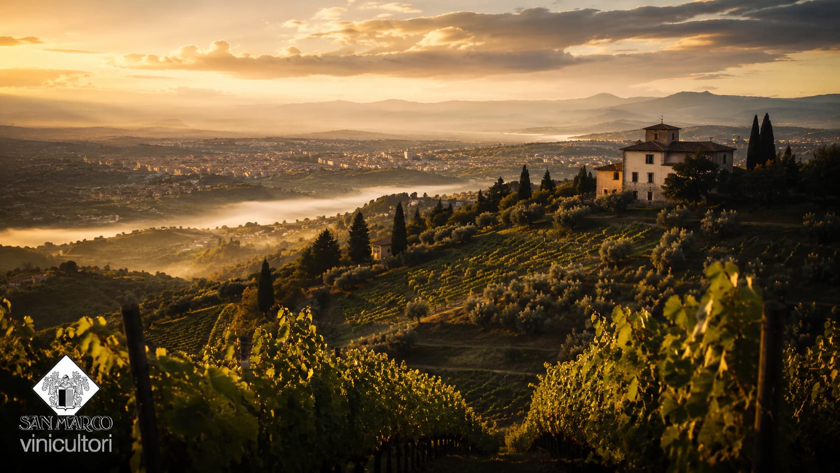 Vigneto San Marco Winery