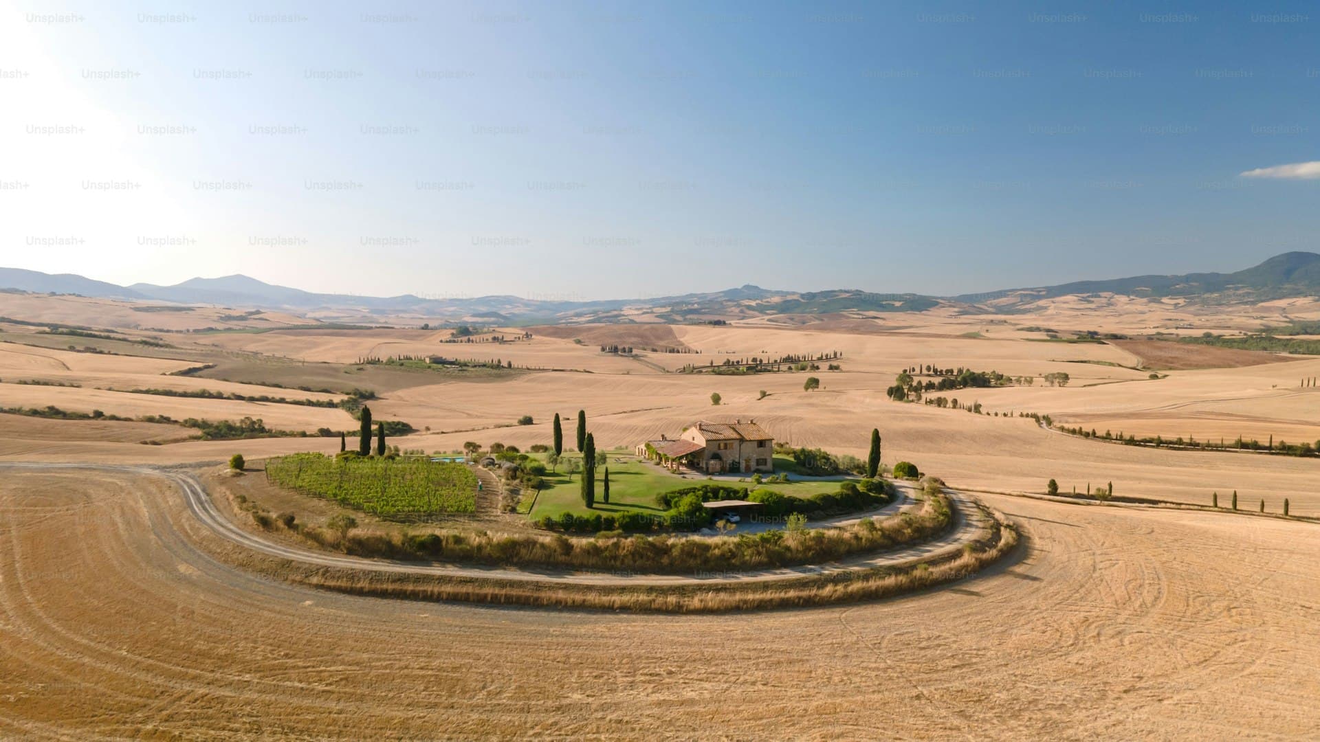 Vigneto Villa Cavalletti