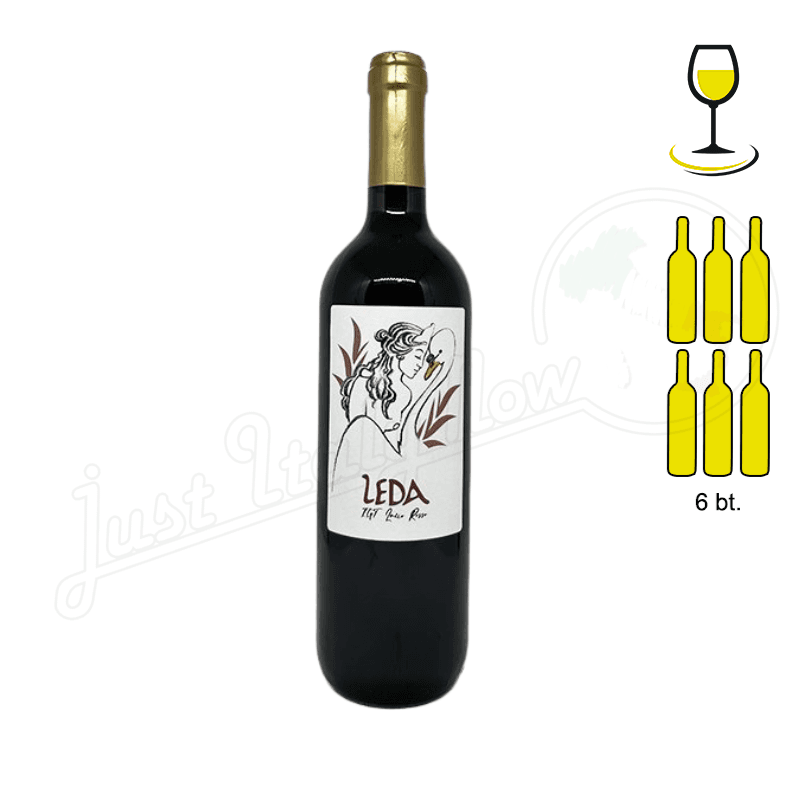 Frascati DOC White - 6 bottle