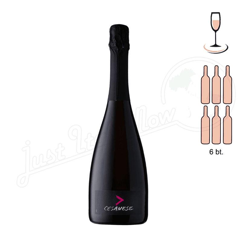 Spumante Brut Rosè Cesanese - 6 bottle