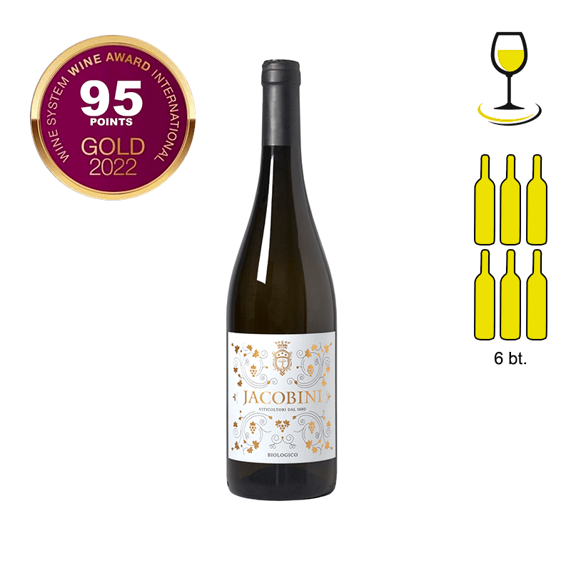 JACOBINI IGP Lazio 2021 - 6 Bottle